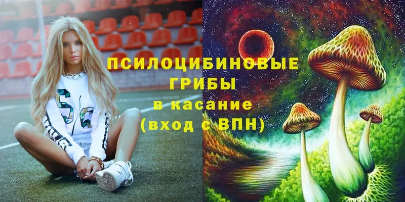 Псилоцибиновые грибы Psilocybe  Горнозаводск 